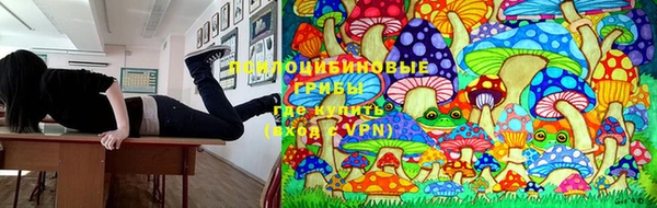 COCAINE Белокуриха