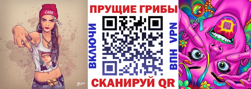 Галлюциногенные грибы прущие грибы  где можно купить   Беслан 